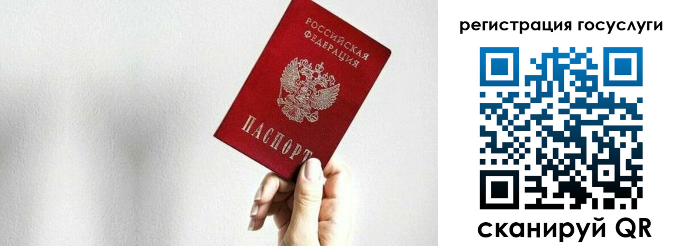 прописка гарантия в Поворино